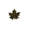 Load image into Gallery viewer, Maple Leaf Forest
