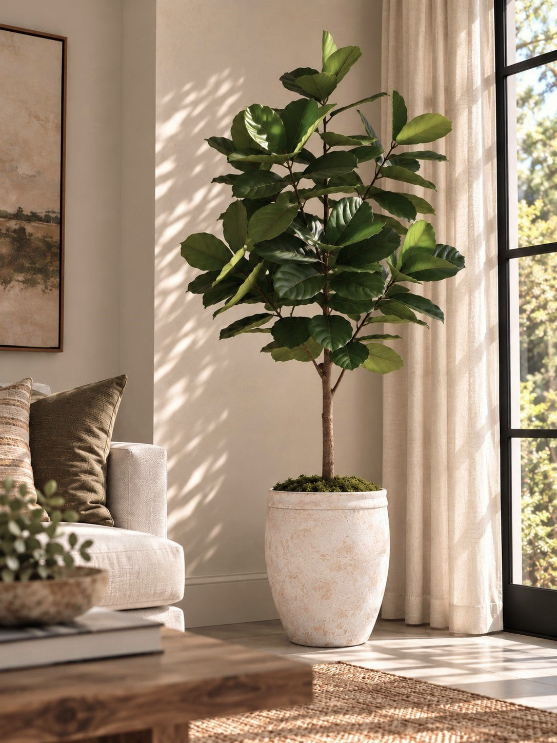 Studio Fiddle Leaf Fig 6' - Styled
