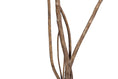 Load image into Gallery viewer, Studio Mulberry Tree 8' - Styled
