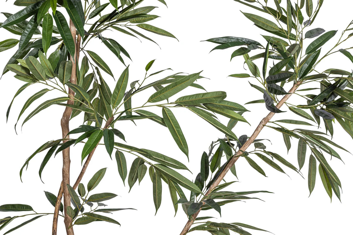 Studio Mulberry Tree 8' - Styled