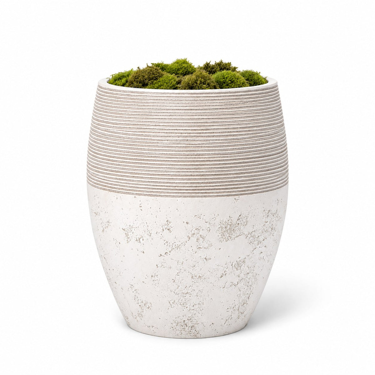 Studio Mulberry Tree 8' - Styled