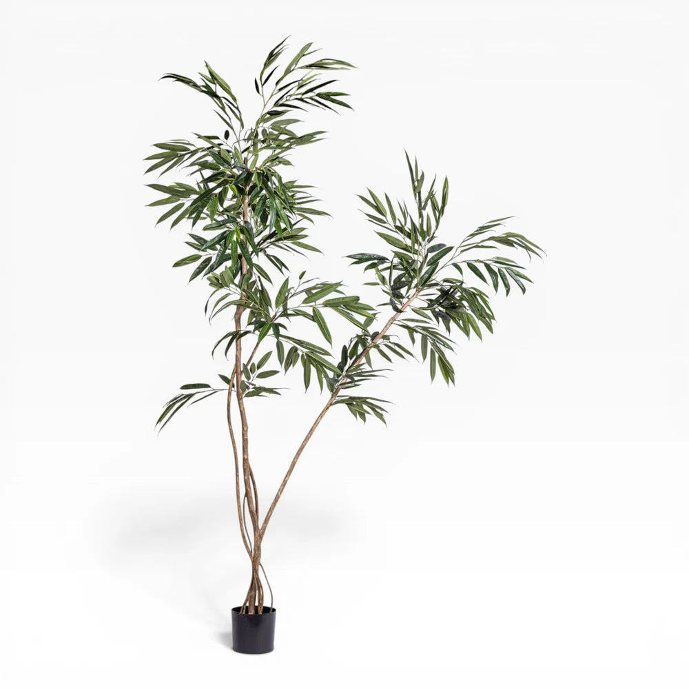 Studio Mulberry Tree 8' - Styled