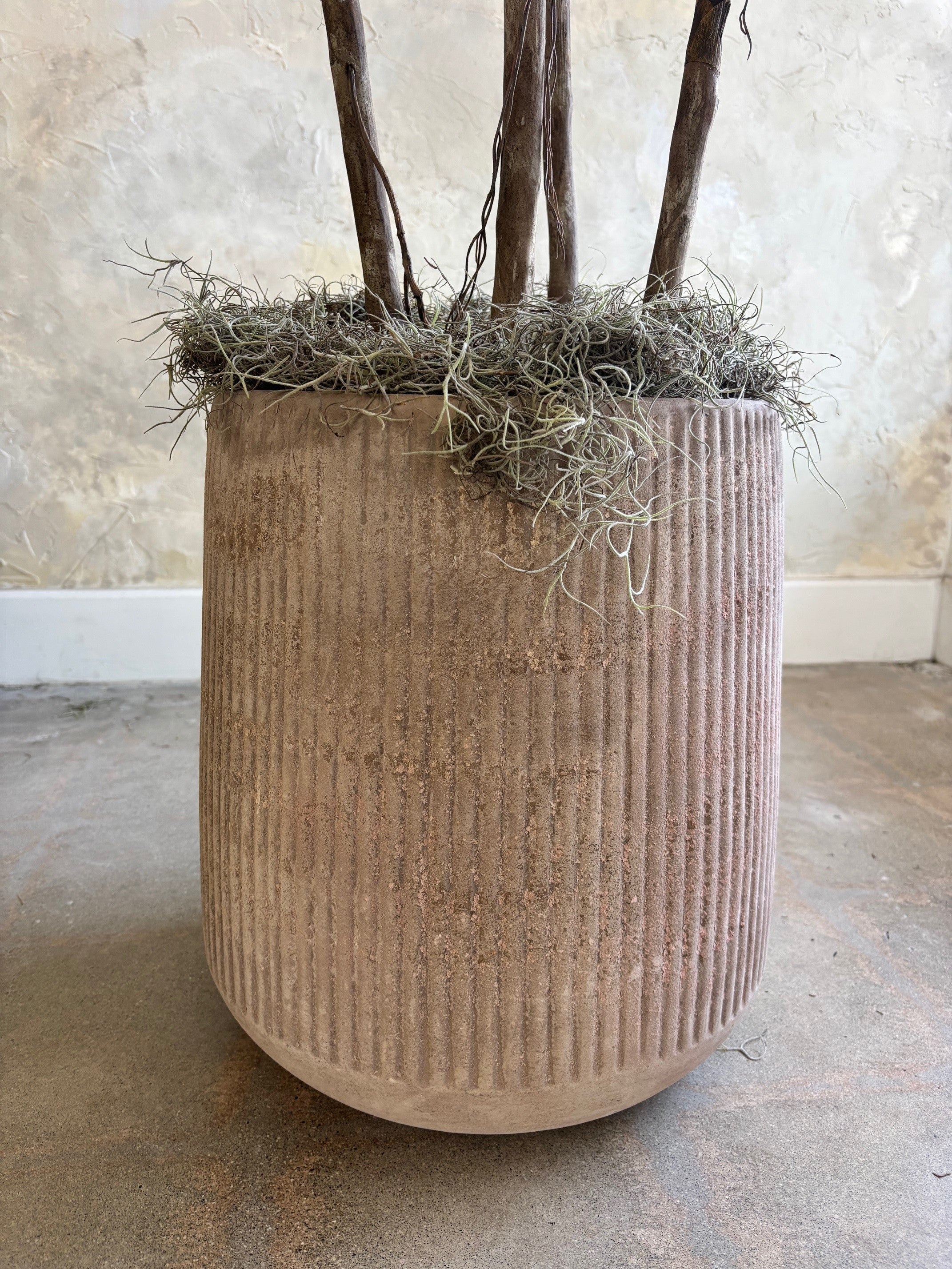 Studio Rubber Tree - 6'