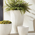 Load image into Gallery viewer, Santorini Tall Pot
