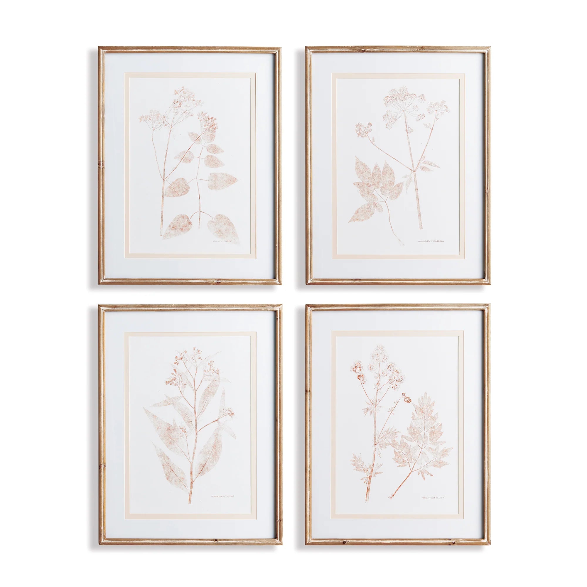 Sepia Bloom, Set of 4