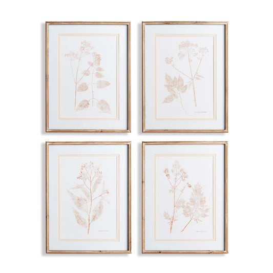 Sepia Bloom, Set of 4
