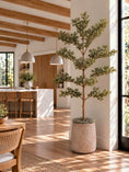 Load image into Gallery viewer, Canopy Olive Tree 6' - Styled

