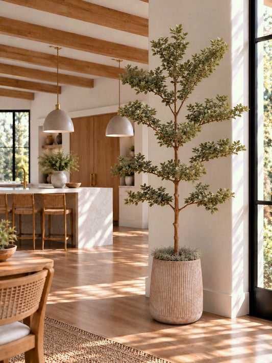 Canopy Olive Tree 6' - Styled