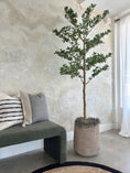 Load image into Gallery viewer, Canopy Olive Tree - 6'
